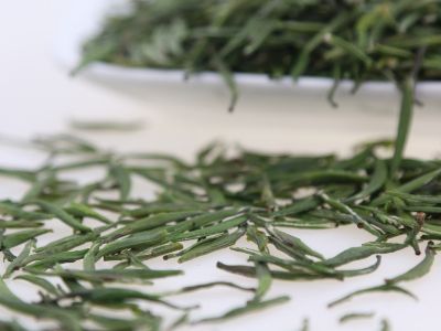 霍山黃芽算是好茶嗎，霍山黃芽屬于什么茶？