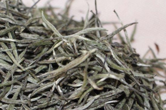 什么人不能喝白茶，白茶不宜什么人喝？