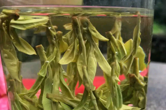 什么綠茶最香最好喝，綠茶口感與香氣排名