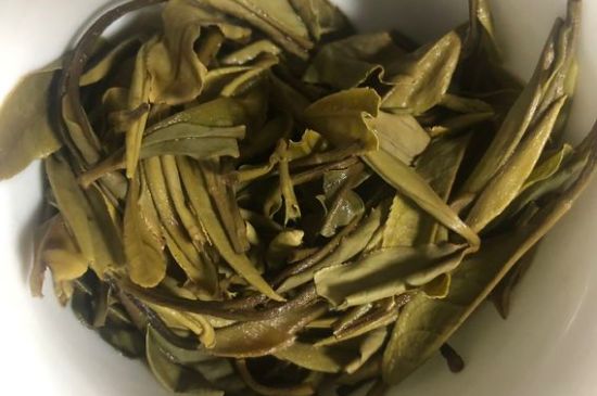 三年白茶賽砒霜，這是真的嗎？