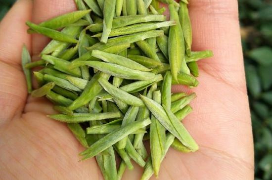 什么綠茶味道濃香，那個綠茶比較濃香？