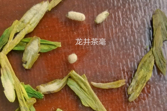 西湖龍井茶毫和發(fā)霉區(qū)別圖片，長霉的龍井茶葉會是什么樣？
