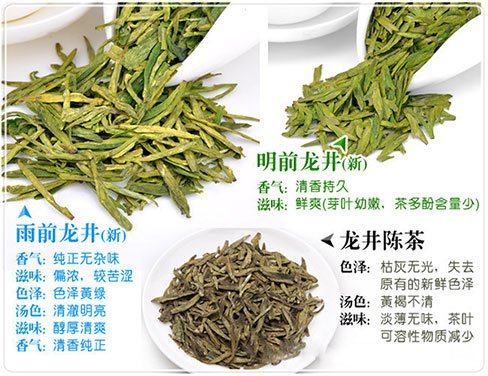西湖龍井新茶和陳茶的區(qū)別，怎么區(qū)分龍井新茶和舊茶？