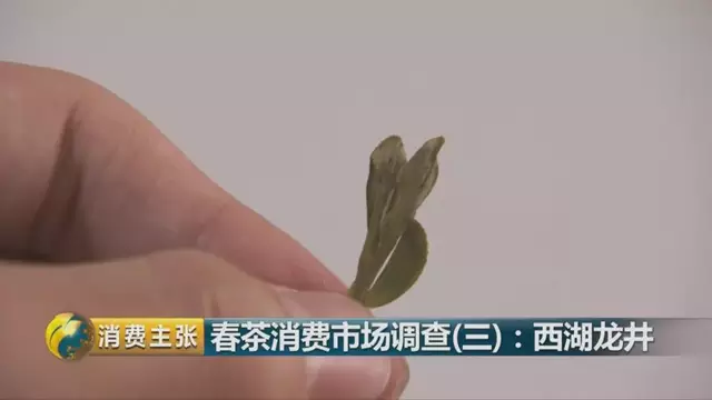 龍井群體種和43號的區(qū)別圖片，龍井43和群體種哪個好喝？