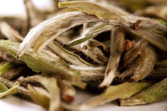 荒野銀針有什么特點(diǎn)，荒野銀針的味道口感咋樣？