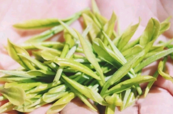 龍井是明前的好還是雨前的好，明前茶和雨前茶哪個(gè)好喝？