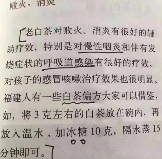 老白茶上火還是去火？夏季喝煮的老白茶會容易上火！