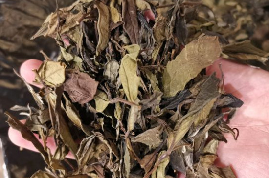 新舊白茶怎么區(qū)分，怎么分辨白茶是新還是舊