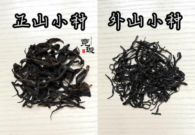 正山小種很細還很黑亮，正山小種越細越好嗎