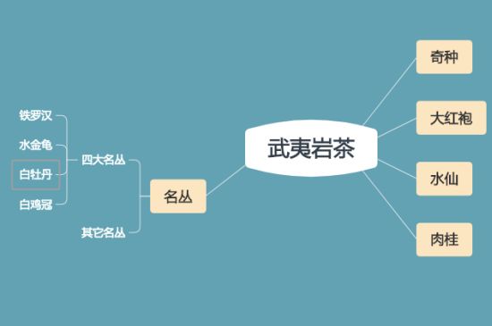 武夷巖茶品種大全，巖茶有幾種？