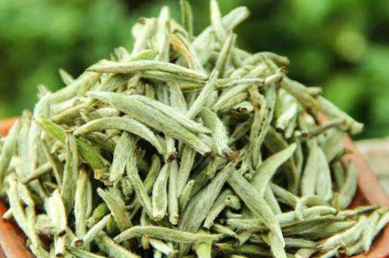 白毫銀針年份越久越好嗎，銀針白毫是否越陳越好