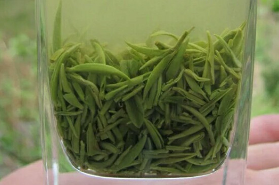 什么綠茶茶葉唇齒留香，哪個(gè)品種綠茶香氣好？