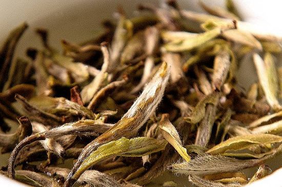 荒野銀針市場(chǎng)價(jià)多少，真正的荒野白毫銀針多少錢(qián)？