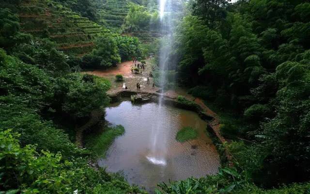武夷山為什么盛產(chǎn)茶葉，武夷山茶為什么好喝？