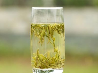 霍山黃芽算是好茶嗎，霍山黃芽屬于什么茶？