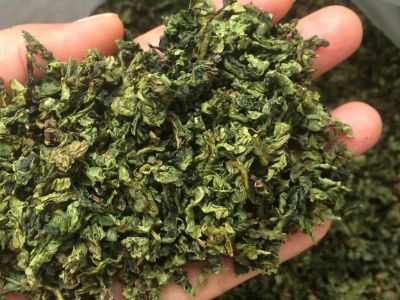 鐵觀音毛茶茶梗可以泡水喝嗎，鐵觀音帶梗是不是好茶？