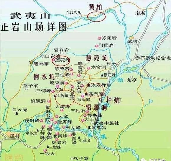 300塊錢的金駿眉能喝嗎，兩三百多金駿眉和一千多區(qū)別