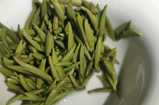 竹葉青茶怎么泡，竹葉青如何沖泡