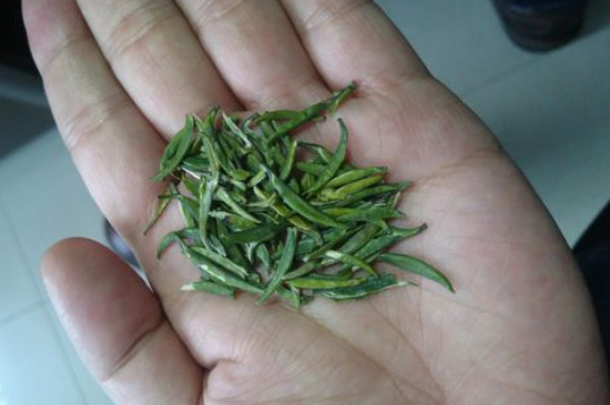 竹葉青茶怎么泡，竹葉青如何沖泡