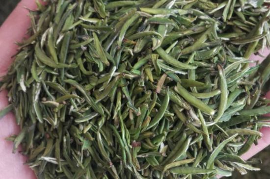 金壇雀舌算不算好茶，金壇雀舌屬于什么檔次茶葉？