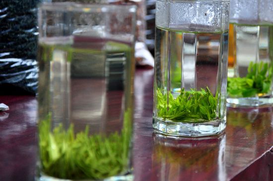 綠茶放了三年還能喝嗎，綠茶放久了喝了會(huì)怎樣