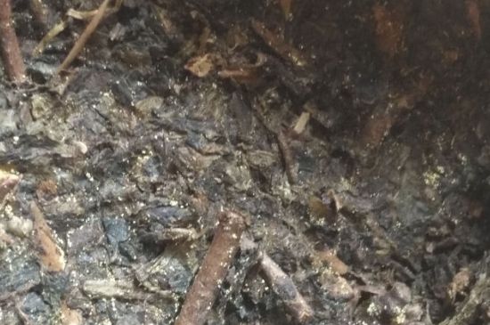 黑茶茯茶保存五大忌，茯茶收藏的注意事項(xiàng)