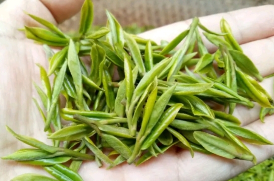 什么是雪前龍井茶，明前、雨前、雨后龍井有什么區(qū)別？