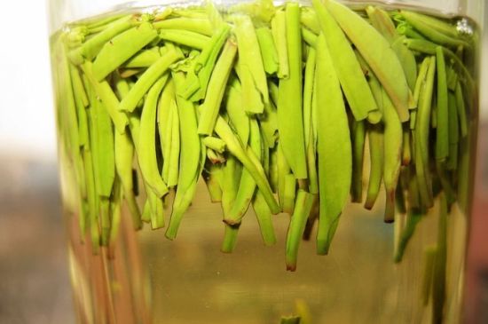 雀舌為何喝著是苦的，雀舌味道怎么那么苦澀？