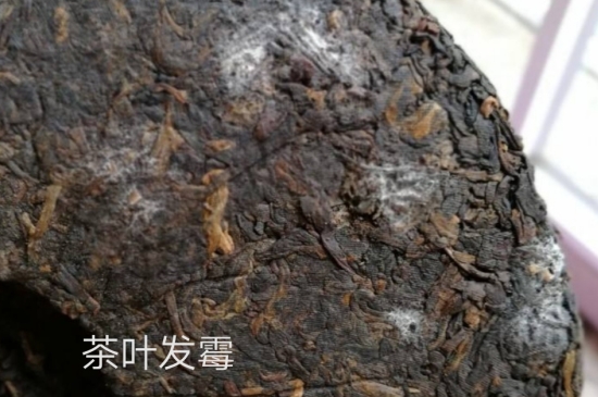西湖龍井茶毫和發(fā)霉區(qū)別圖片，長霉的龍井茶葉會是什么樣？